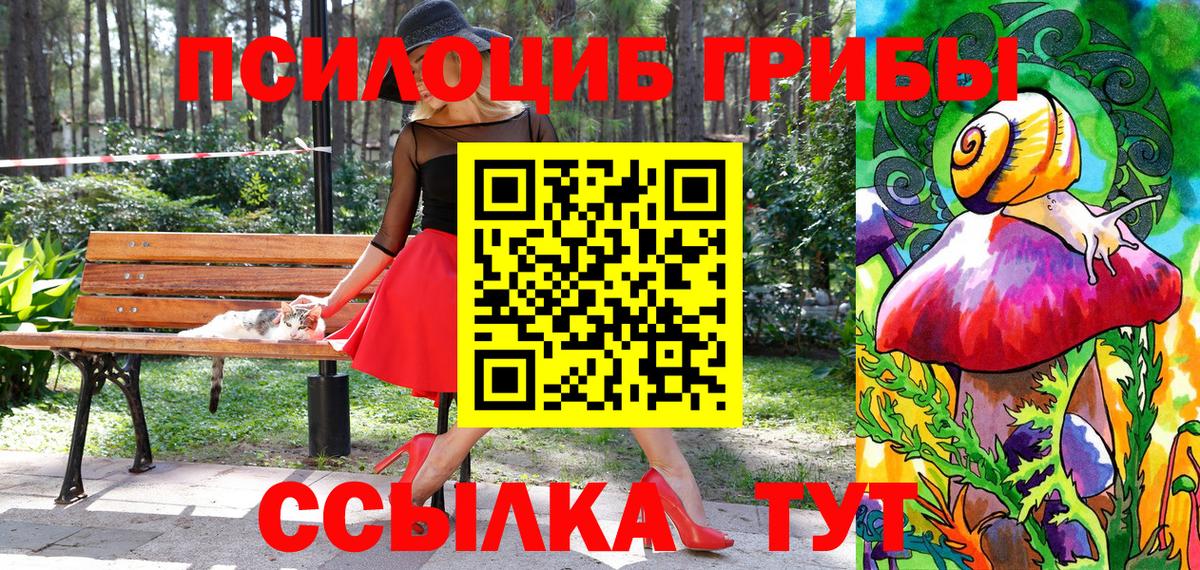 Новомосковск  Галлюциногенные грибы Cubensis  Вход с VPN 